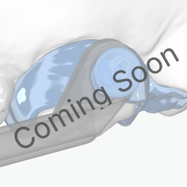 Herbst - SLM version